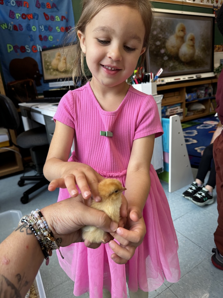 Chicks