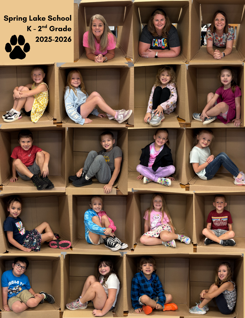 box collage