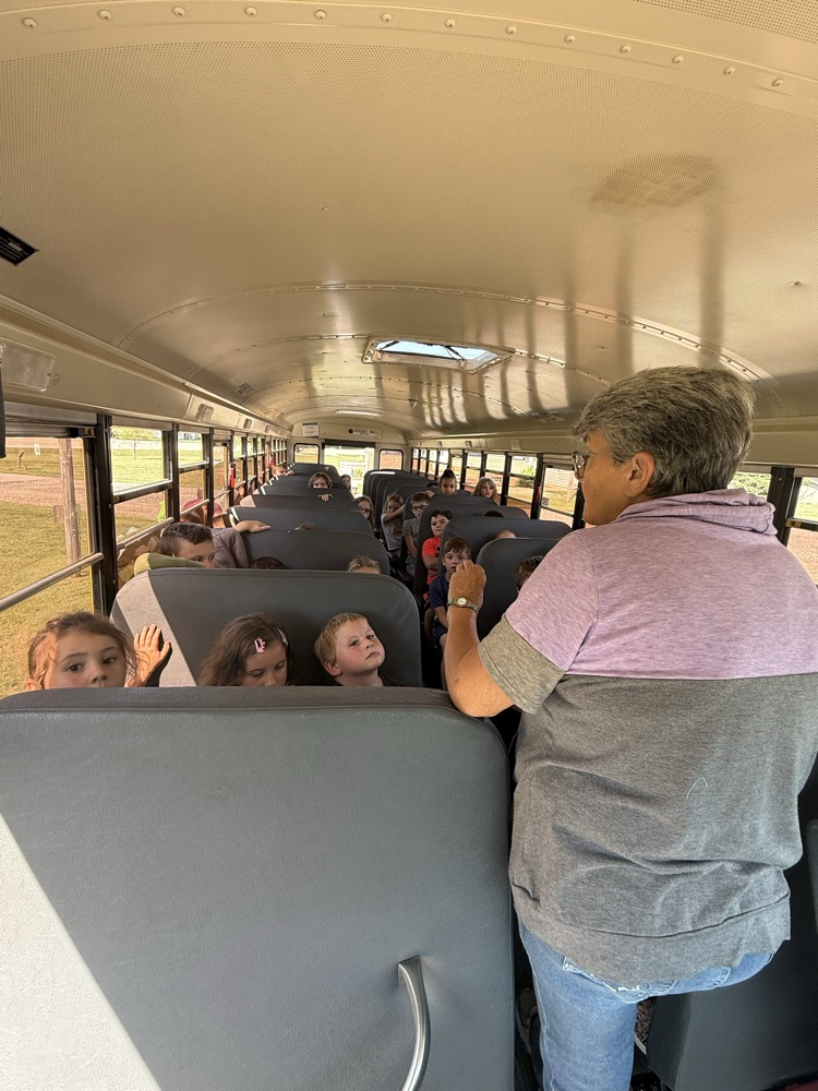 bus