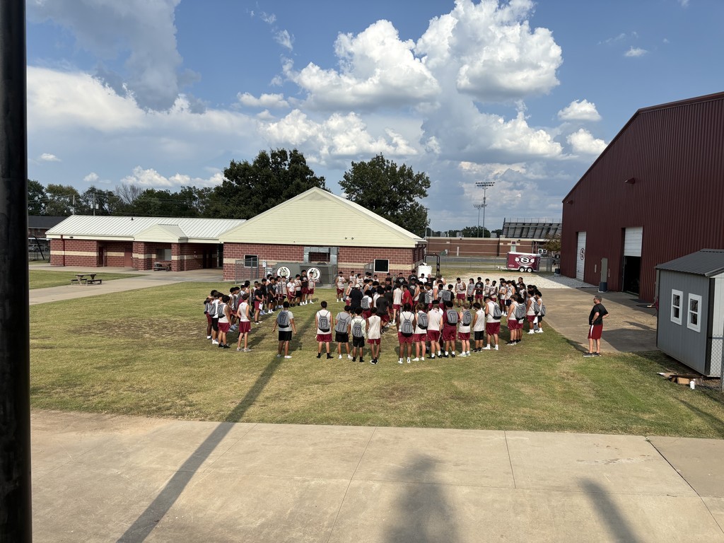 pigskin preview