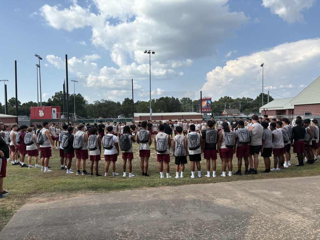 pigskin preview