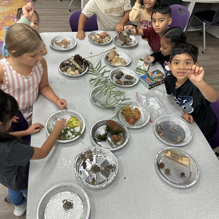 K-2 Patterns
