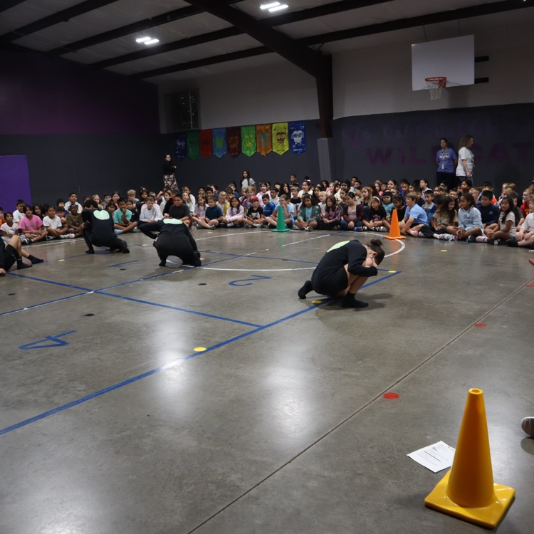 Rooted Movement Collective