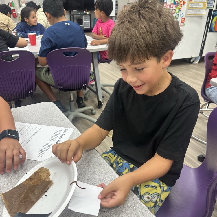 worm lab