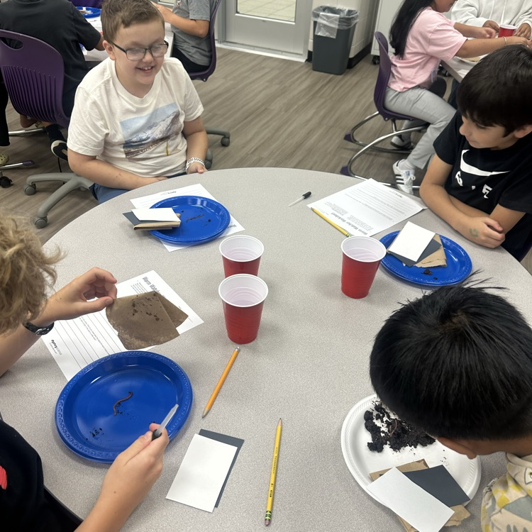 worm lab