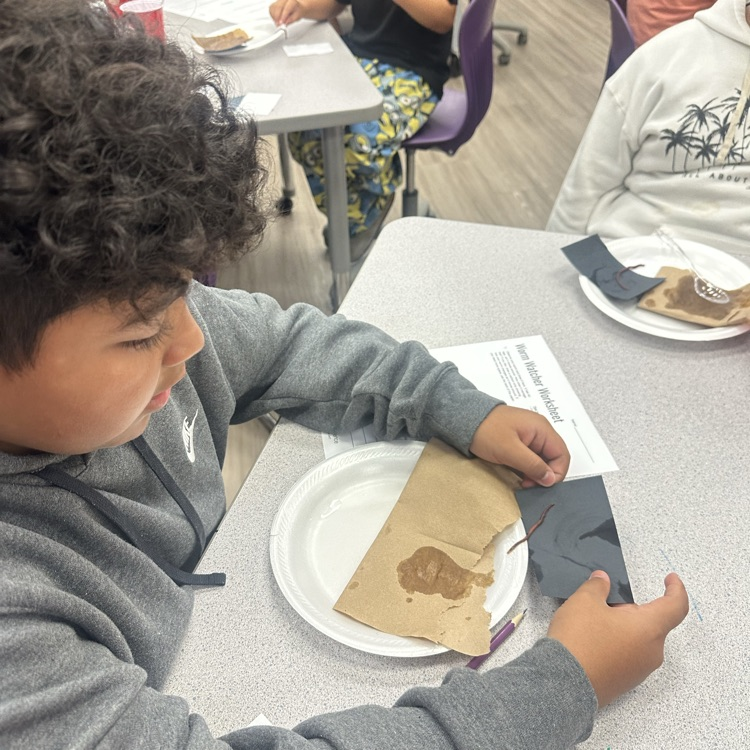 worm lab
