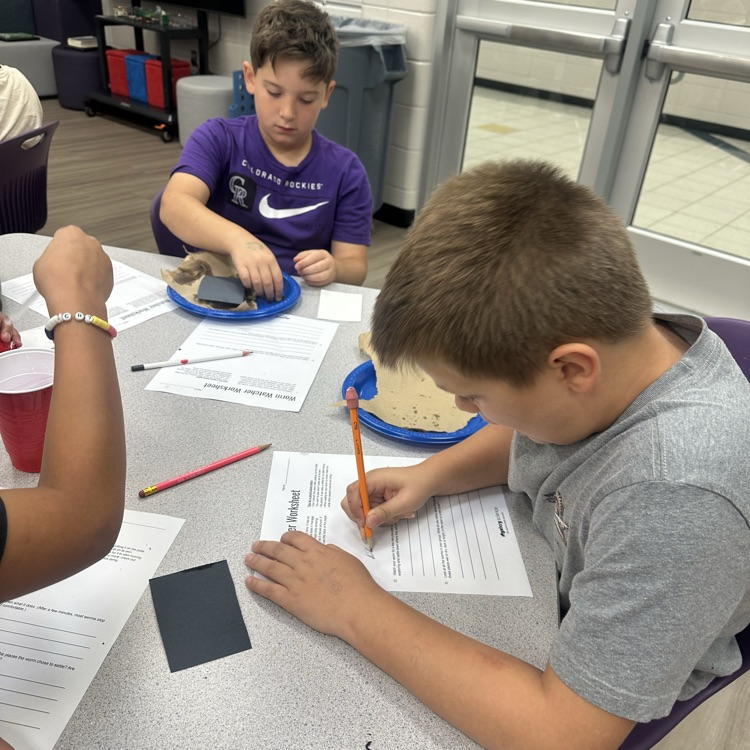 worm lab