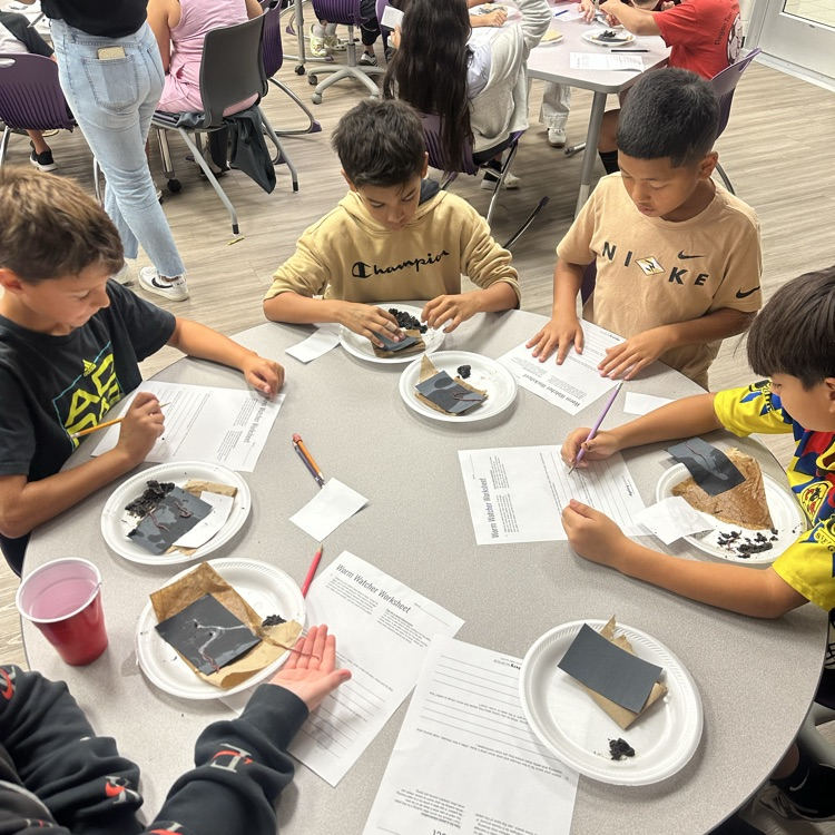 worm lab