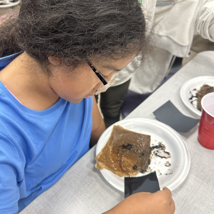 worm lab