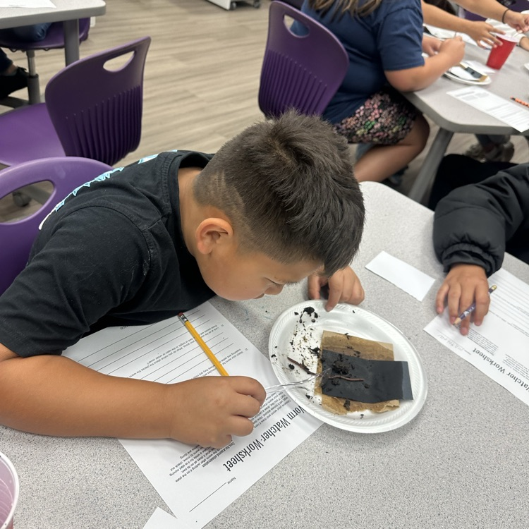 worm lab