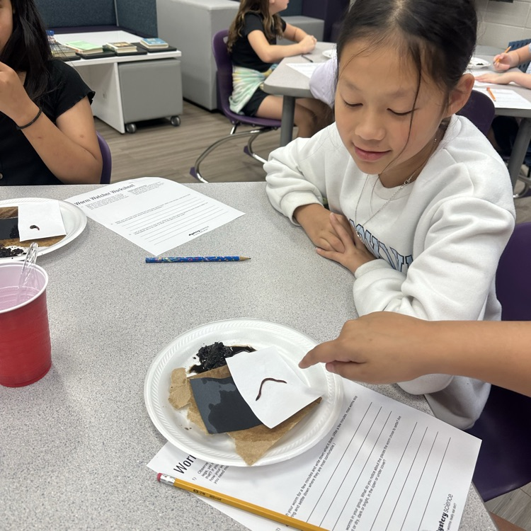 worm lab