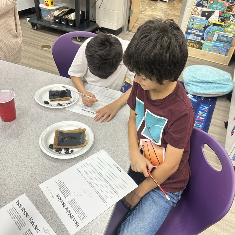 worm lab