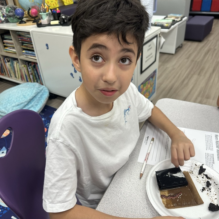 worm lab
