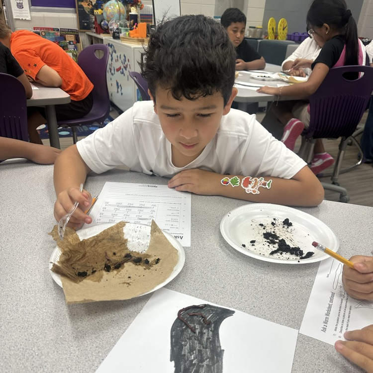 decomposers