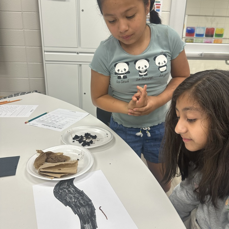 decomposers