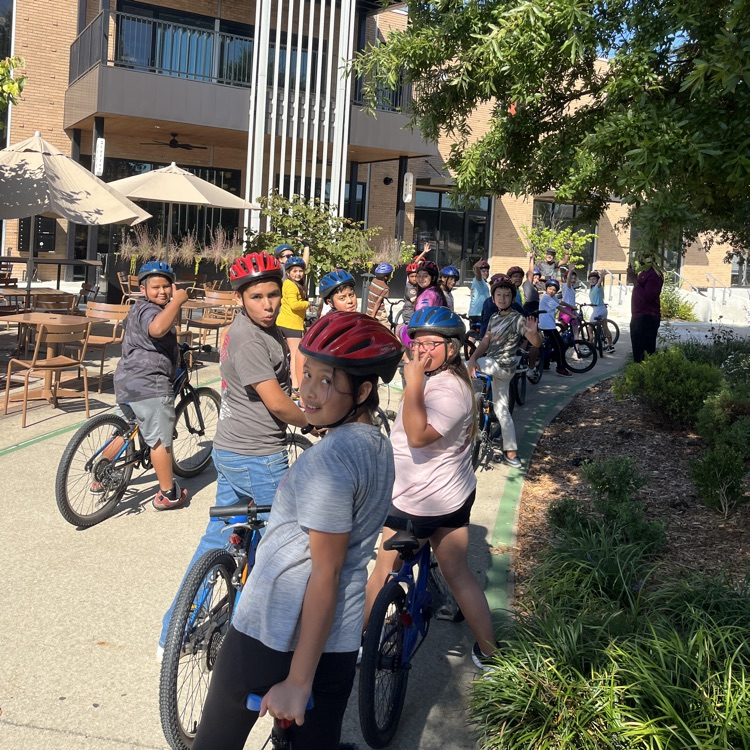 bikes