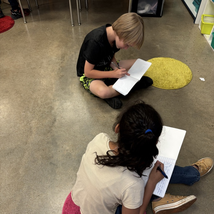ROAR students journaling