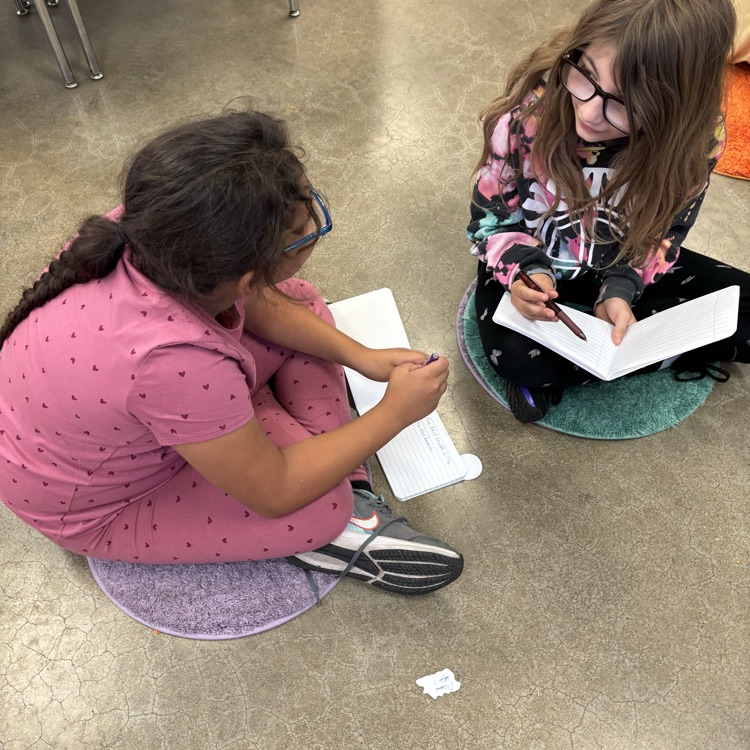 ROAR students journaling