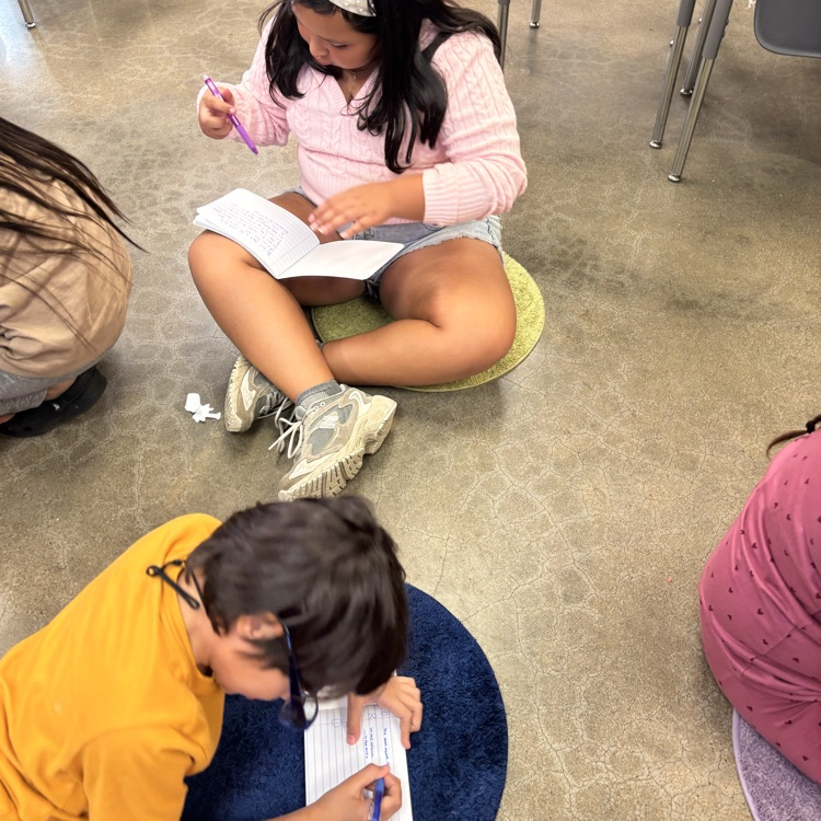 ROAR students journaling