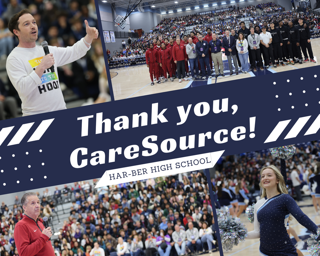 Mental Health Assembly