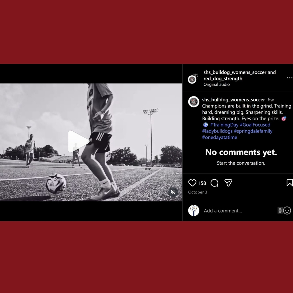 Nov. 2025 Springdale Spotlight