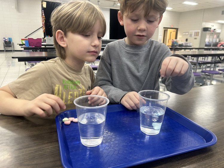 Students dissolving candy in a science experiment