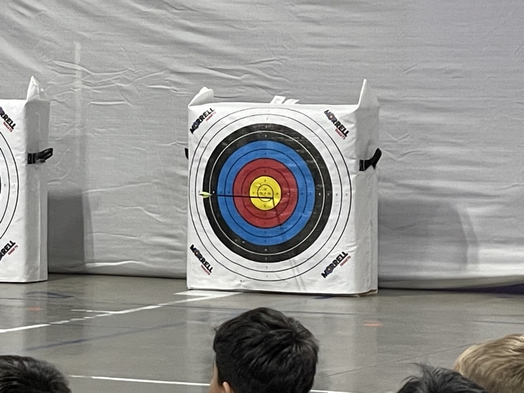 Target with an arrow in the 9 zone