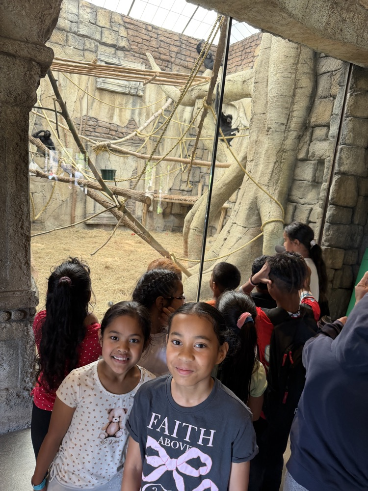 zoo