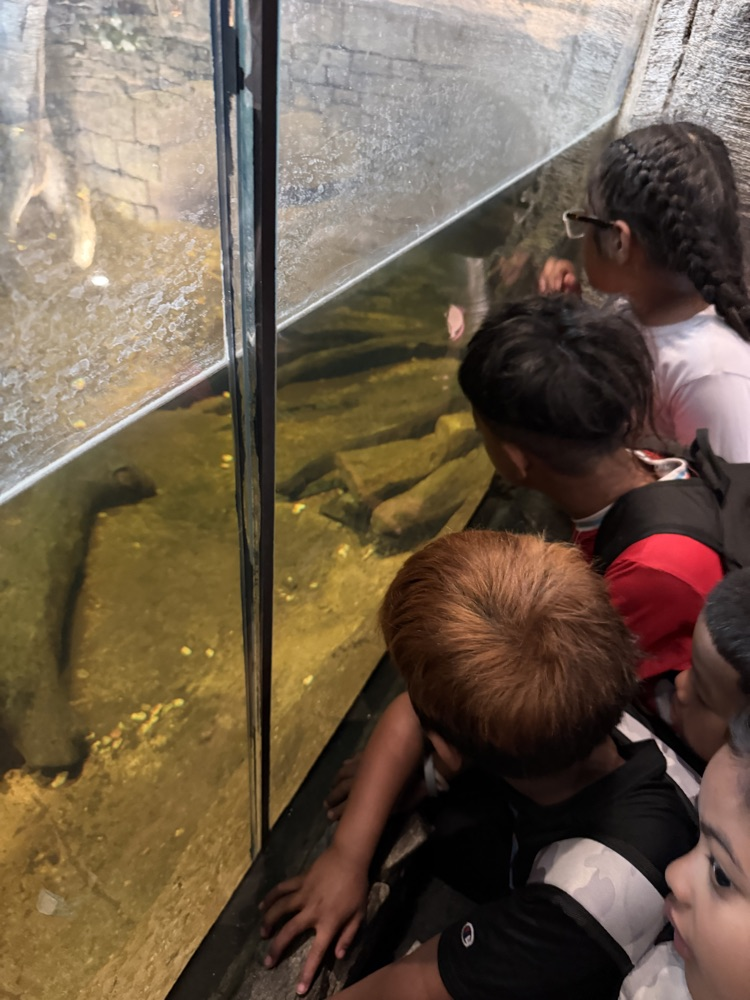 zoo