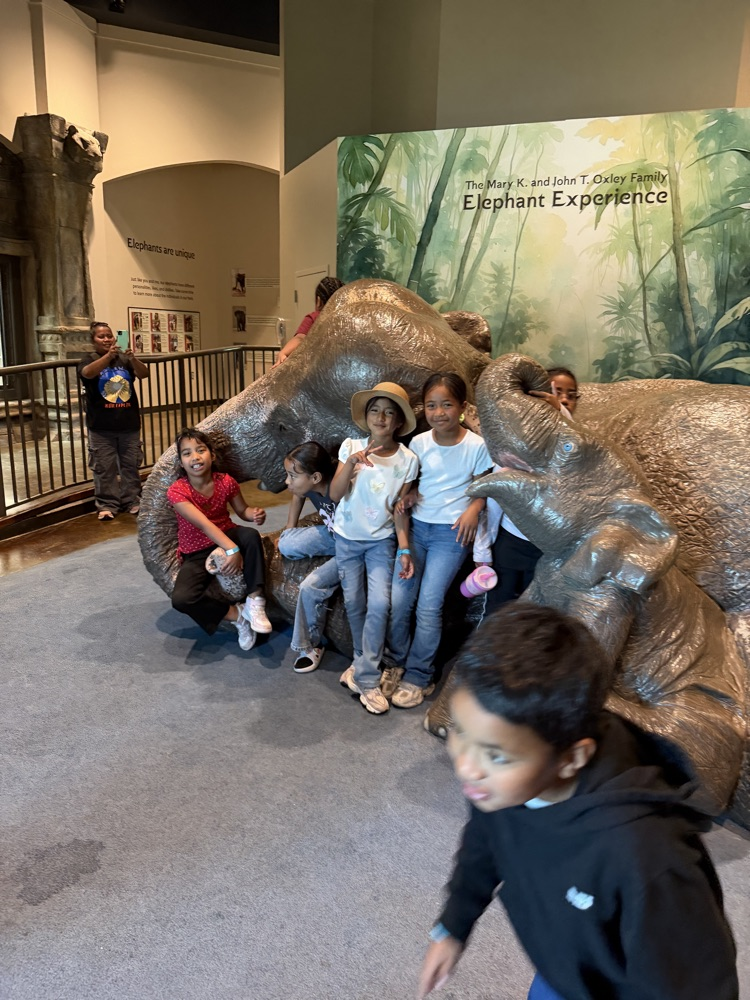 zoo