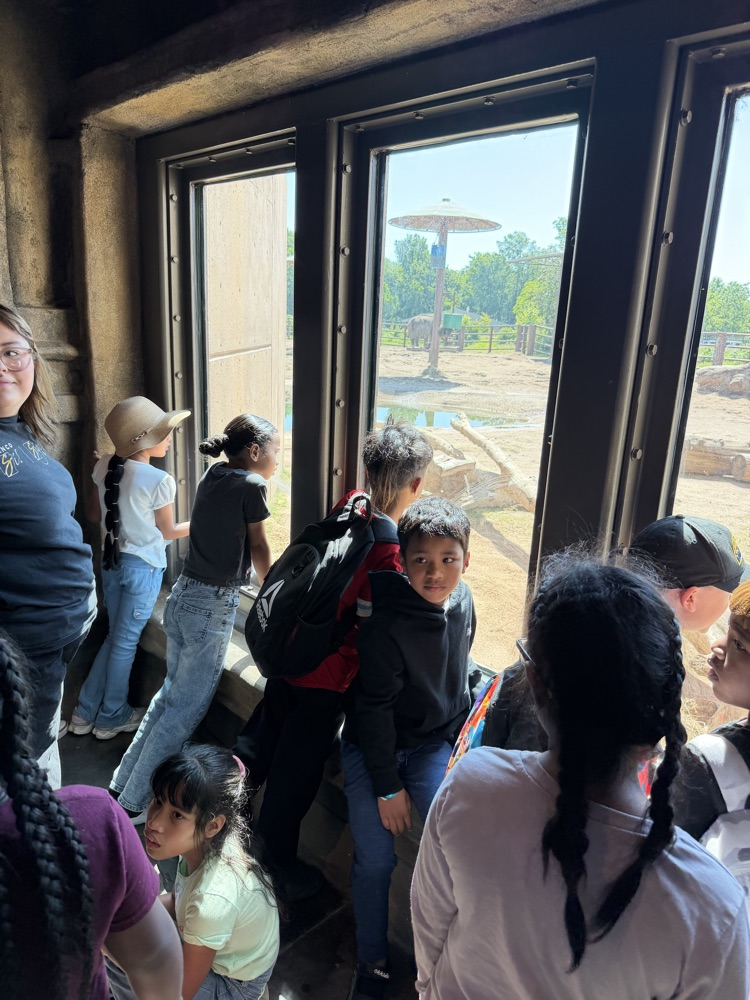 zoo