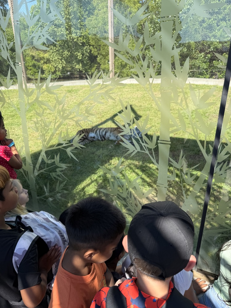 zoo
