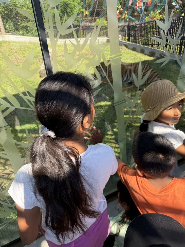 zoo
