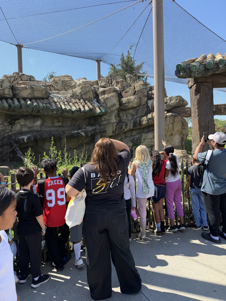 zoo