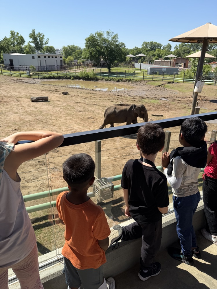 zoo