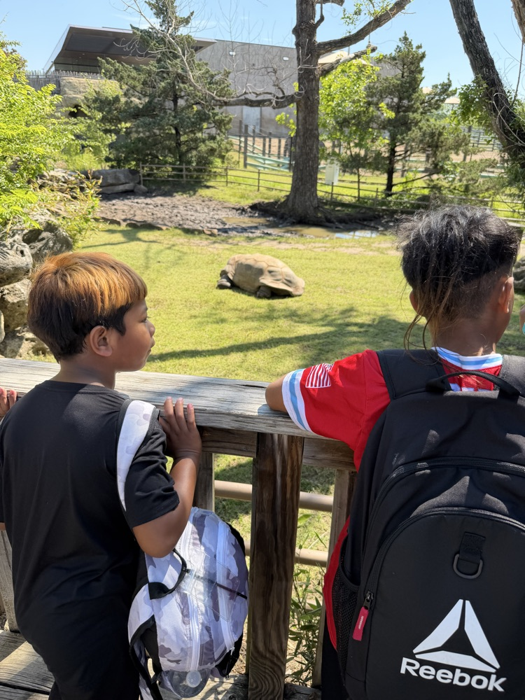 zoo
