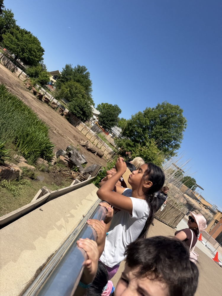 zoo