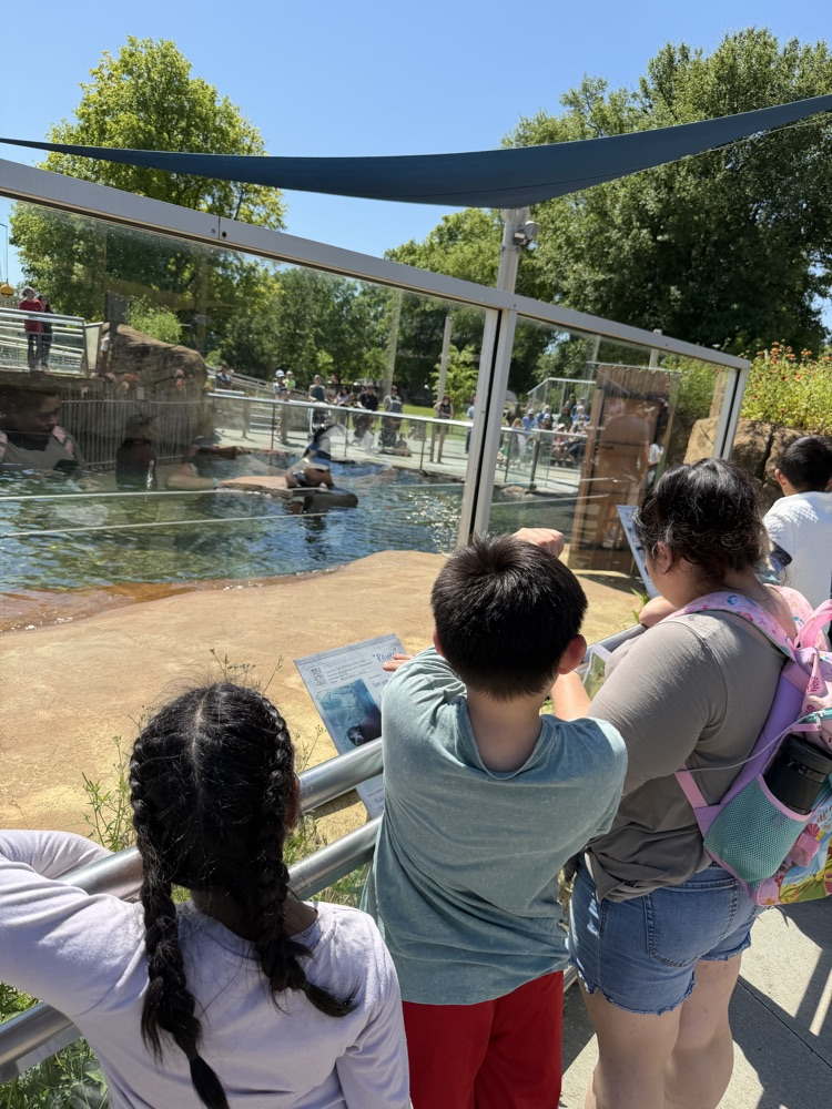 zoo