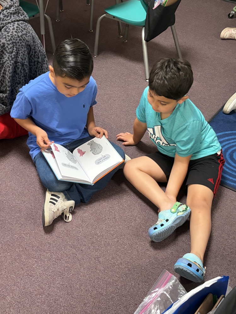 reading 