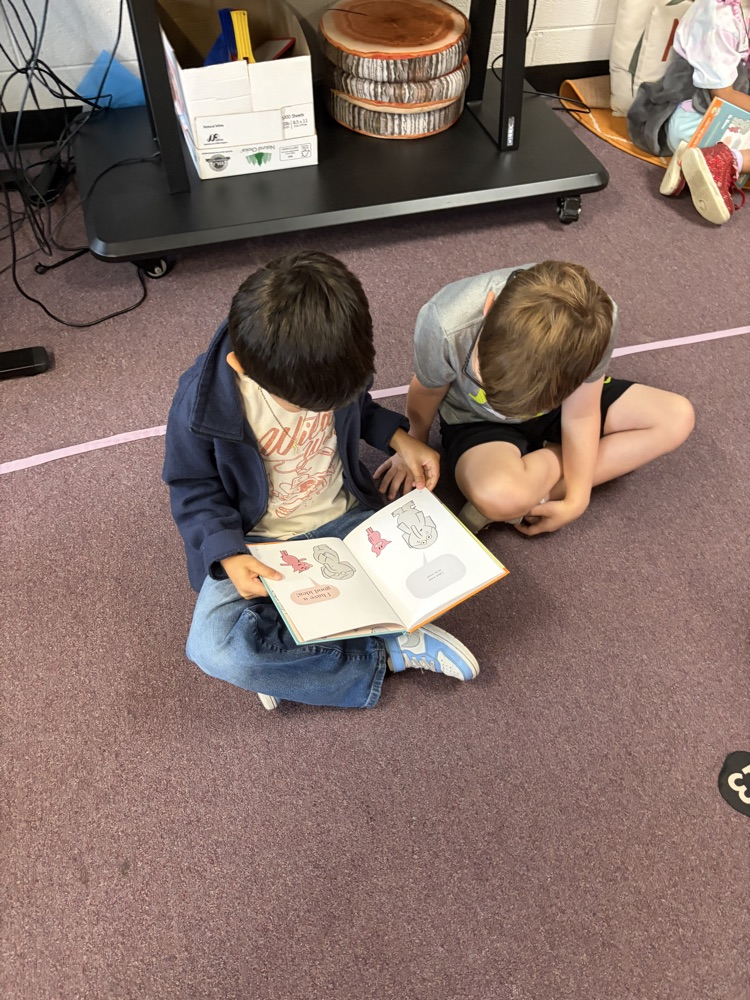 reading 