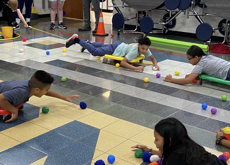 field day