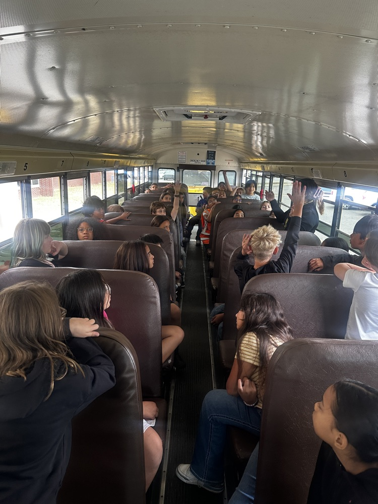 bus bus