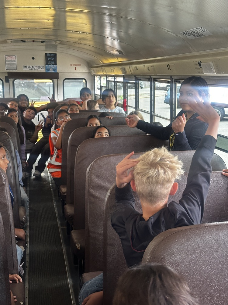 bus