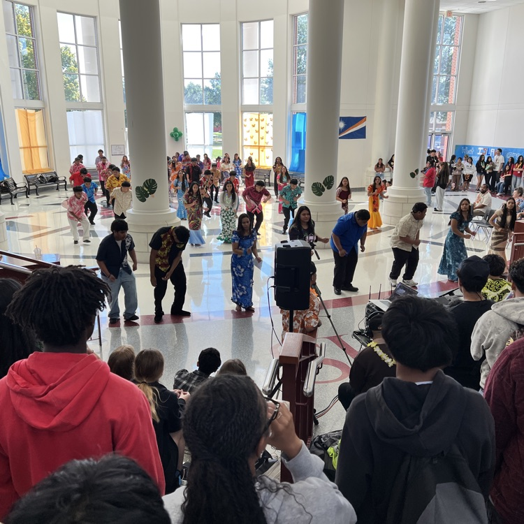 Manit Day at Springdale High School