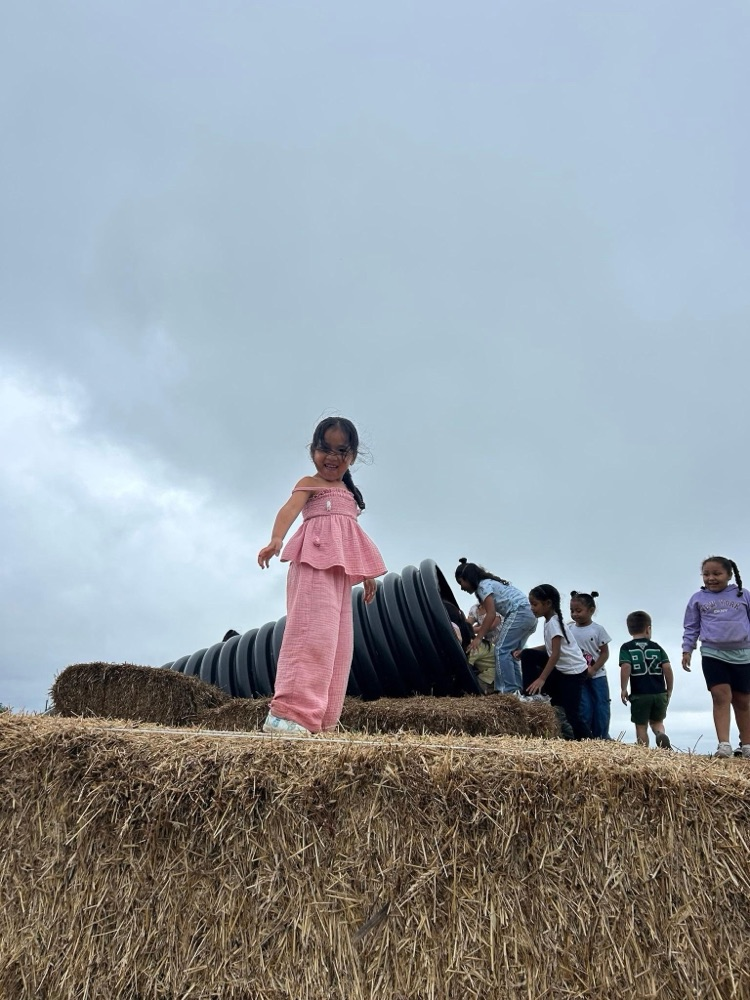 farmland