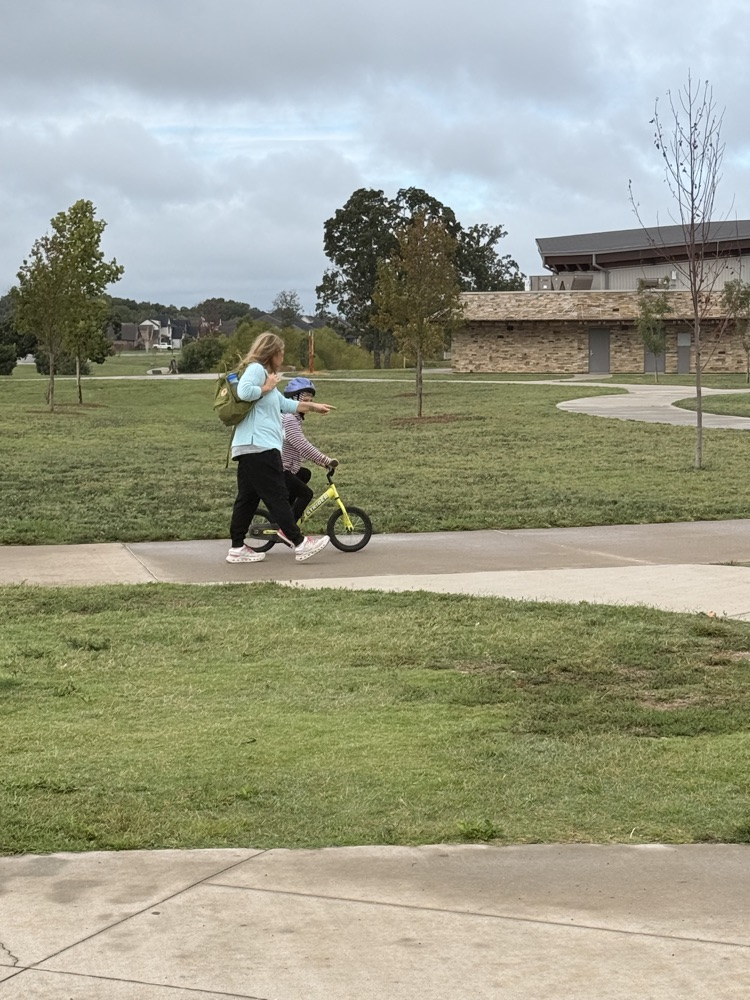 bikes