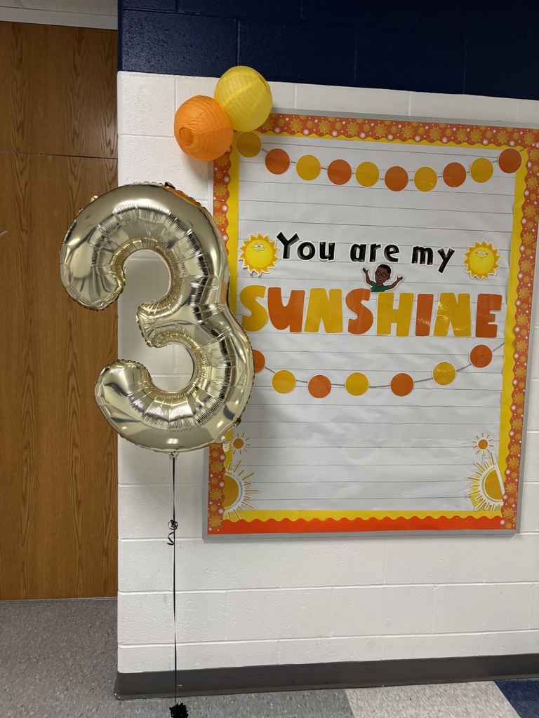 Welcome to 3rd grade Sunshines!