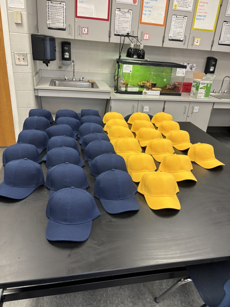 Before the Press!  LEADER OF THE MONTH DESIGNER HATS!