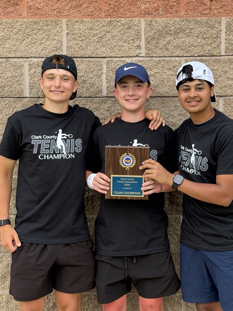 singles players (boys tennis)