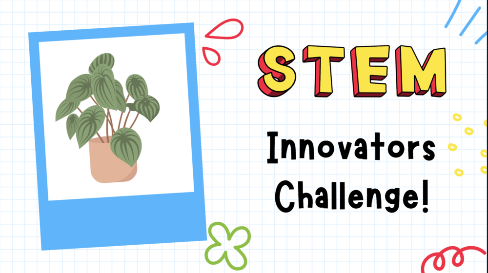 STEM Challenge